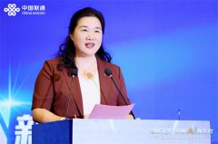 沉庆联通依托大DC、大、大通道焦点能力劣势